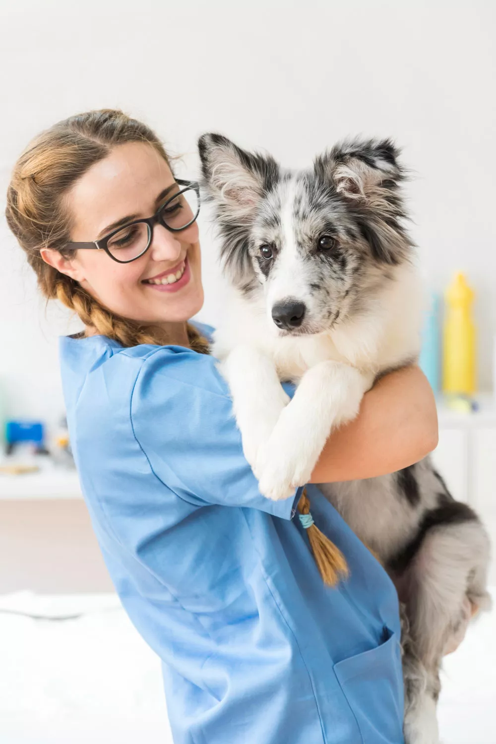 Petvet Doctor and Dog
